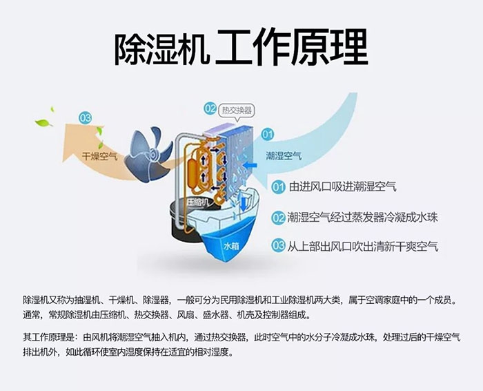 潮濕天氣狗最容易患上這種毛??！三個(gè)注意事項(xiàng)，鏟屎官一定要看看