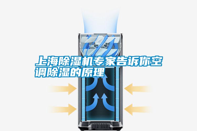 上海除濕機專家告訴你空調(diào)除濕的原理