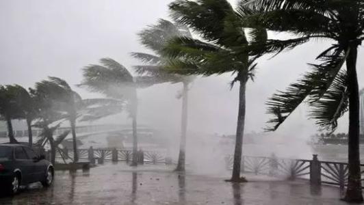 8月臺(tái)風(fēng)雨即將來(lái)，除濕機(jī)還得用起來(lái)