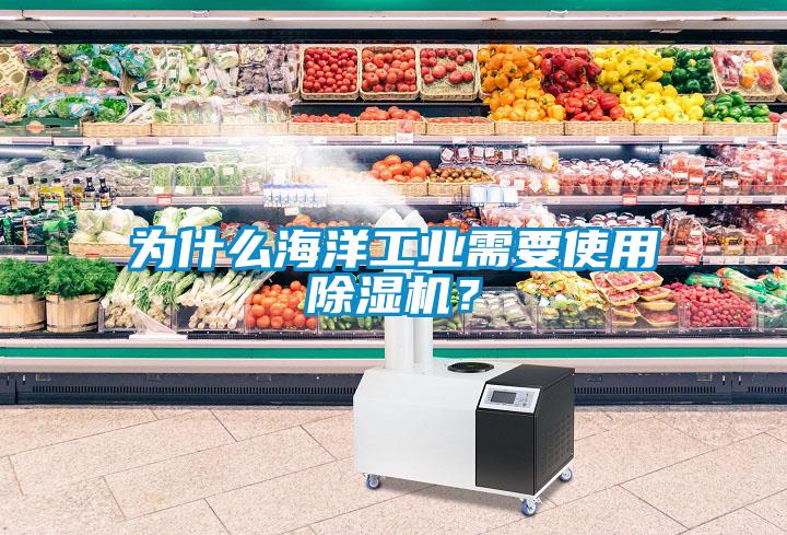 為什么海洋工業(yè)需要使用除濕機？