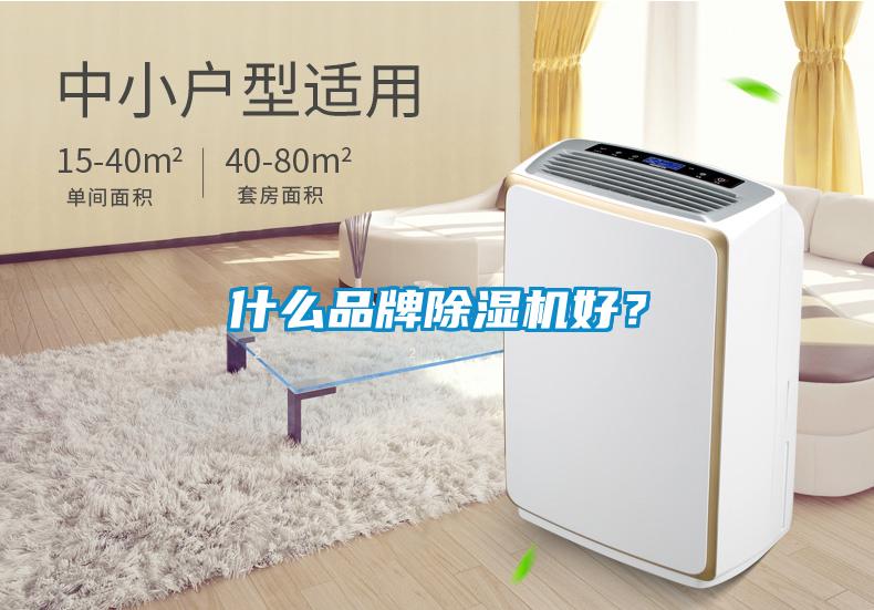 什么品牌除濕機(jī)好？