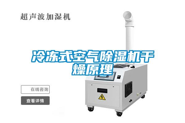 冷凍式空氣除濕機(jī)干燥原理