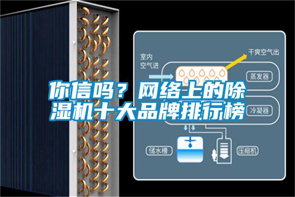 你信嗎？網(wǎng)絡上的除濕機十大品牌排行榜