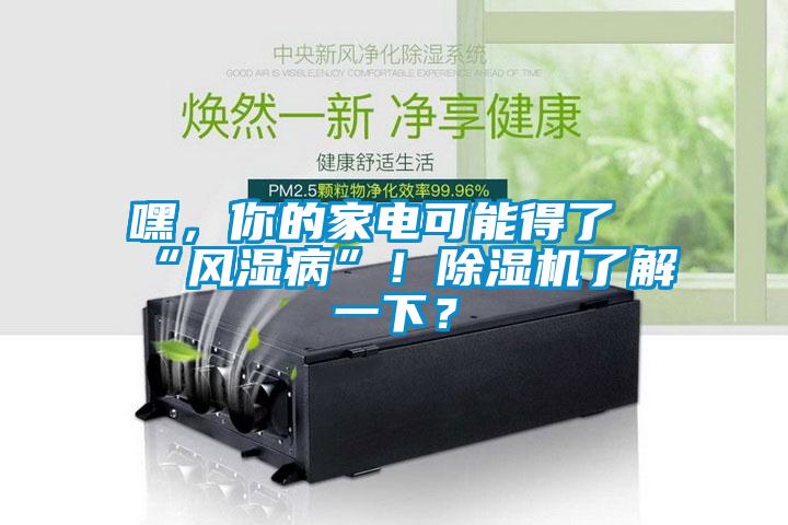 嘿，你的家電可能得了“風(fēng)濕病”！除濕機(jī)了解一下？