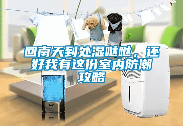 回南天到處濕噠噠，還好我有這份室內(nèi)防潮攻略