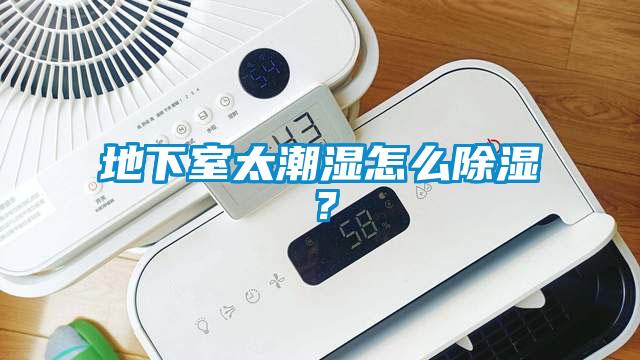 地下室太潮濕怎么除濕？