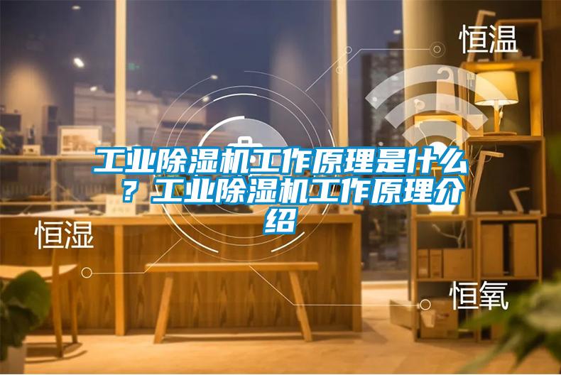 工業(yè)除濕機工作原理是什么 ？工業(yè)除濕機工作原理介紹