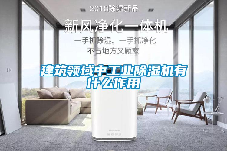 建筑領域中工業(yè)除濕機有什么作用