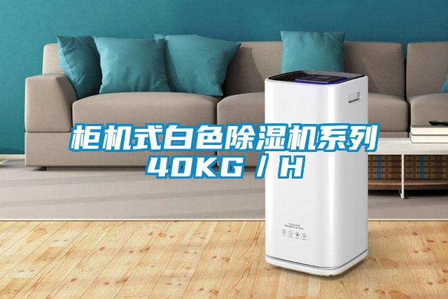 柜機式白色除濕機系列40KG／H