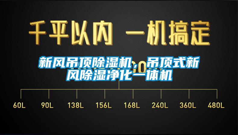 新風吊頂除濕機，吊頂式新風除濕凈化一體機