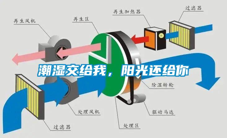 潮濕傷于無形，除濕機(jī)來防范