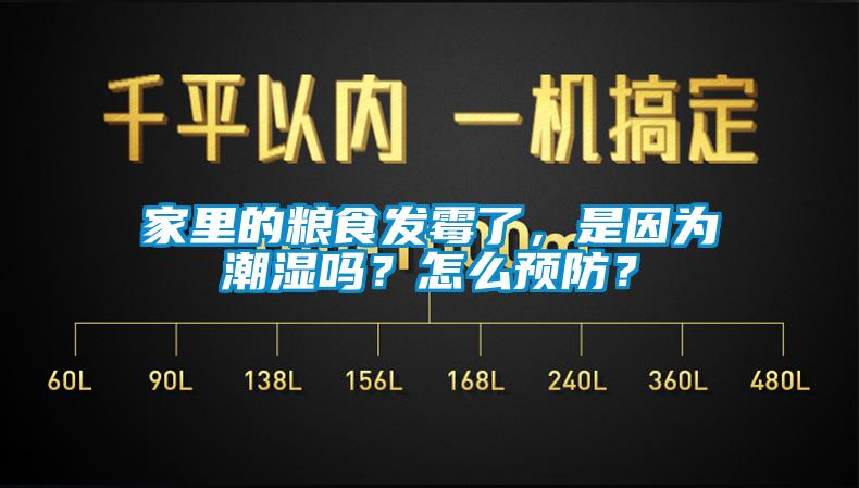 家里的糧食發(fā)霉了，是因?yàn)槌睗駟?？怎么預(yù)防？