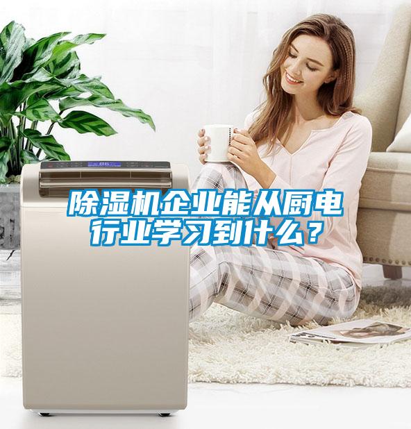 除濕機(jī)企業(yè)能從廚電行業(yè)學(xué)習(xí)到什么？