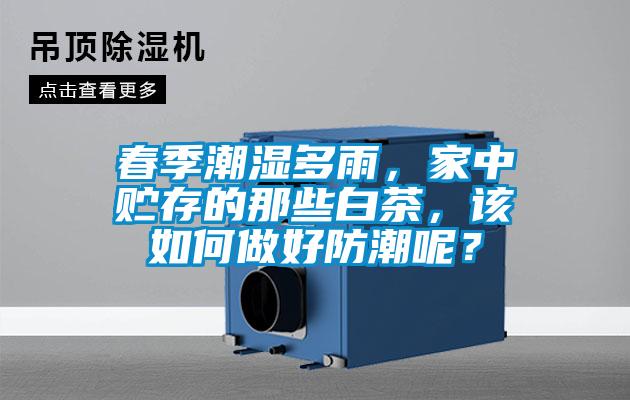 春季潮濕多雨，家中貯存的那些白茶，該如何做好防潮呢？