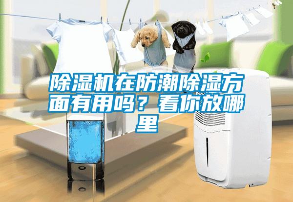 除濕機在防潮除濕方面有用嗎？看你放哪里