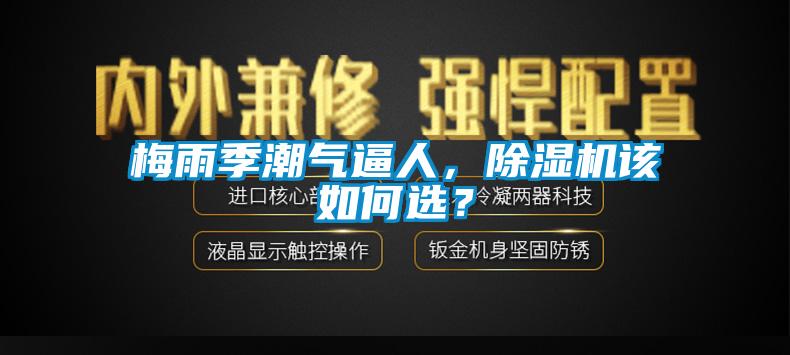 梅雨季潮氣逼人，除濕機(jī)該如何選？