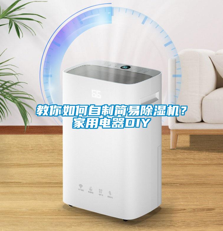 教你如何自制簡(jiǎn)易除濕機(jī)？家用電器DIY