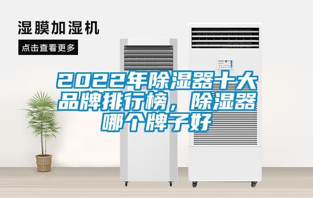 2022年除濕器十大品牌排行榜，除濕器哪個(gè)牌子好