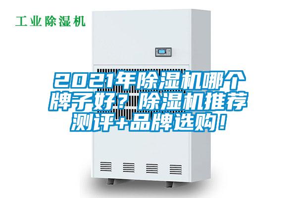 2021年除濕機哪個牌子好？除濕機推薦測評+品牌選購！