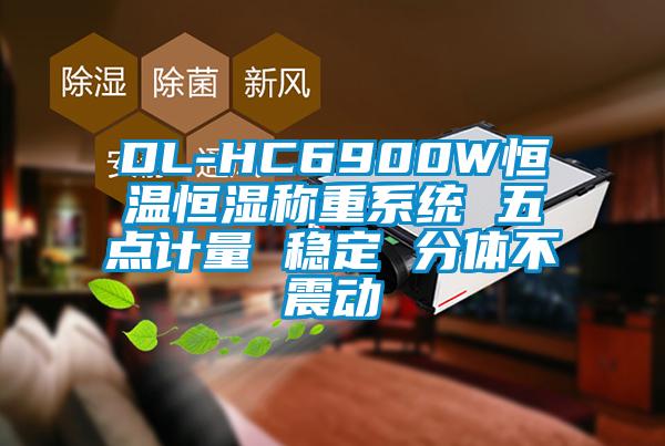 DL-HC6900W恒溫恒濕稱重系統(tǒng) 五點計量 穩(wěn)定 分體不震動