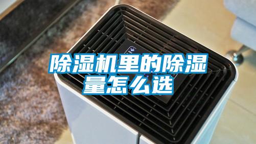 除濕機(jī)里的除濕量怎么選