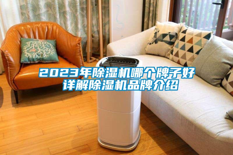 2023年除濕機(jī)哪個(gè)牌子好 詳解除濕機(jī)品牌介紹