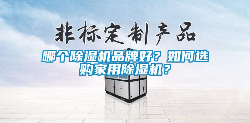 哪個除濕機品牌好？如何選購家用除濕機？