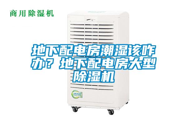 地下配電房潮濕該咋辦？地下配電房大型除濕機