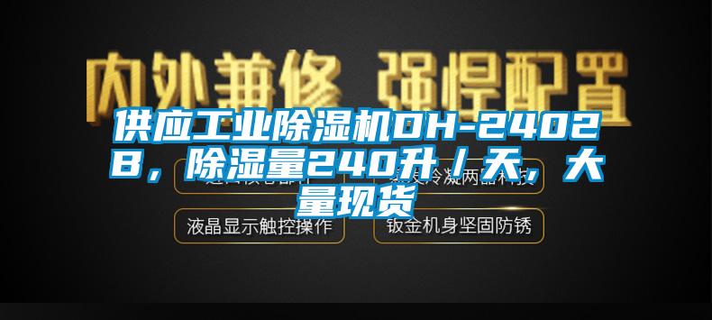 供應(yīng)工業(yè)除濕機(jī)DH-2402B，除濕量240升／天，大量現(xiàn)貨