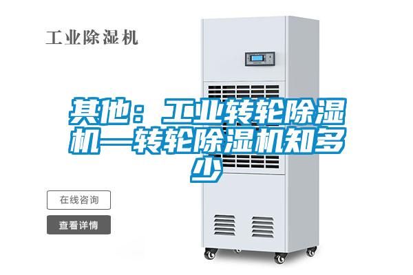 其他：工業(yè)轉輪除濕機—轉輪除濕機知多少