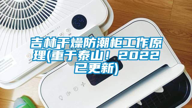 吉林干燥防潮柜工作原理(重于泰山！2022已更新)