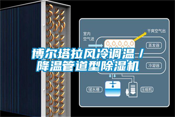 博爾塔拉風(fēng)冷調(diào)溫／降溫管道型除濕機(jī)