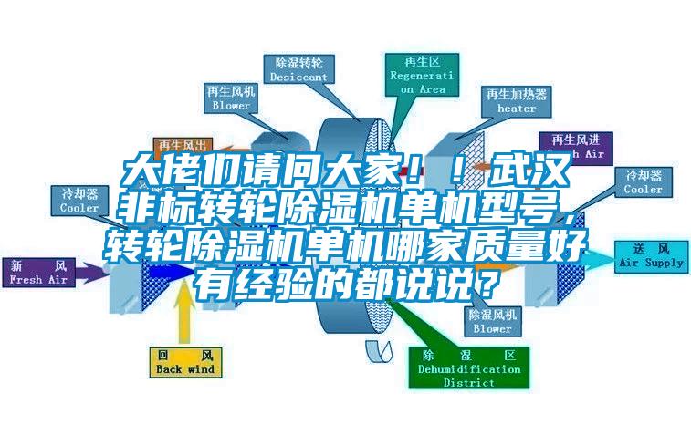 大佬們請問大家??！武漢非標轉輪除濕機單機型號，轉輪除濕機單機哪家質量好有經(jīng)驗的都說說？