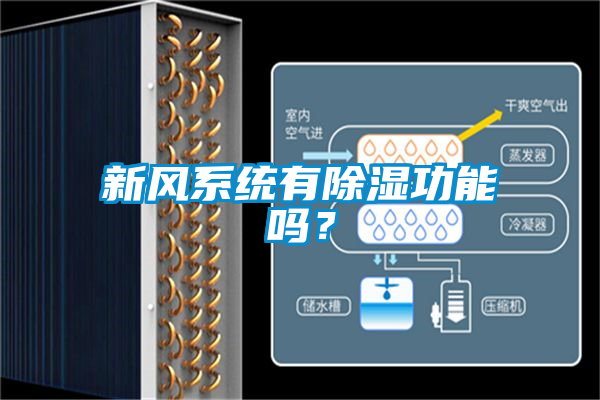 新風(fēng)系統(tǒng)有除濕功能嗎？