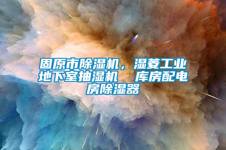 固原市除濕機，濕菱工業(yè)地下室抽濕機  庫房配電房除濕器