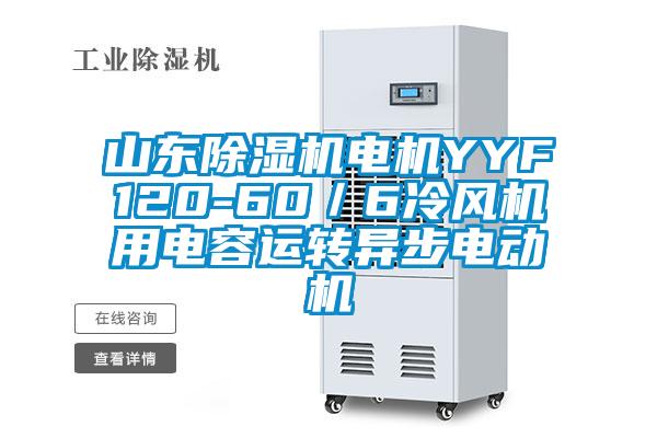 山東除濕機(jī)電機(jī)YYF120-60／6冷風(fēng)機(jī)用電容運(yùn)轉(zhuǎn)異步電動(dòng)機(jī)