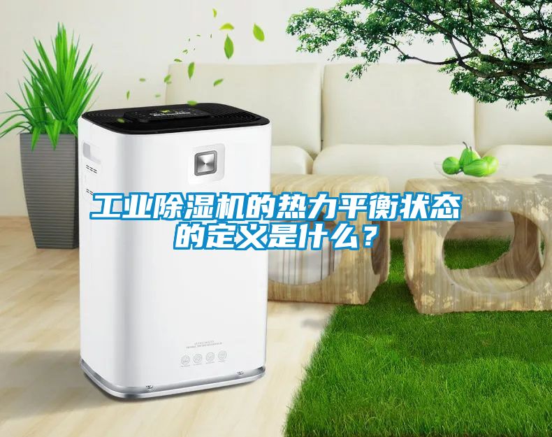 工業(yè)除濕機的熱力平衡狀態(tài)的定義是什么？