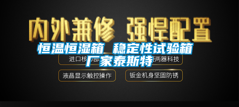 恒溫恒濕箱 穩(wěn)定性試驗(yàn)箱 廠家泰斯特