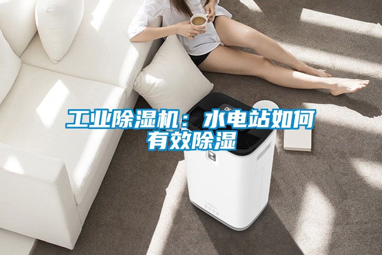 工業(yè)除濕機：水電站如何有效除濕