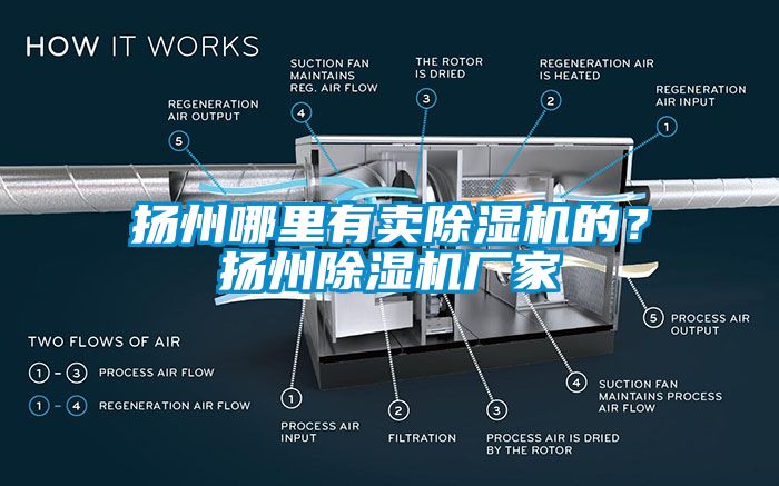 揚州哪里有賣除濕機的？揚州除濕機廠家