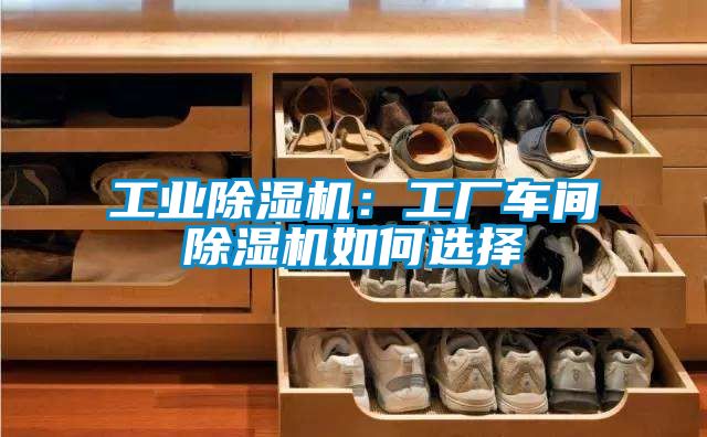 工業(yè)除濕機：工廠車間除濕機如何選擇