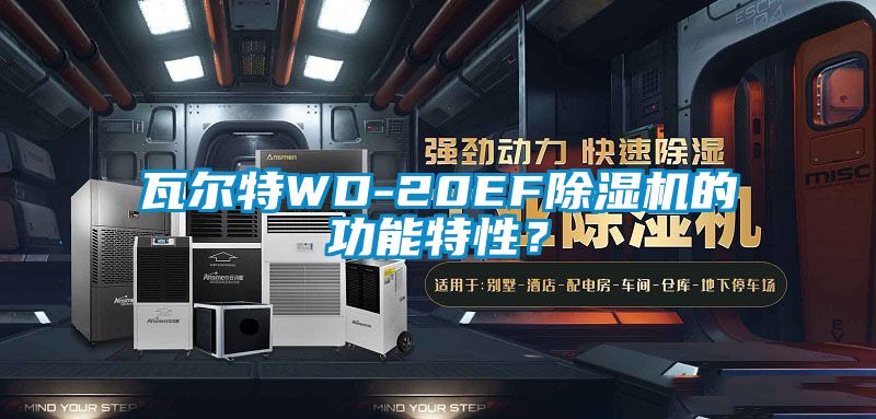 瓦爾特WD-20EF除濕機(jī)的功能特性？