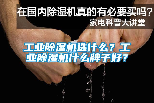 工業(yè)除濕機選什么？工業(yè)除濕機什么牌子好？