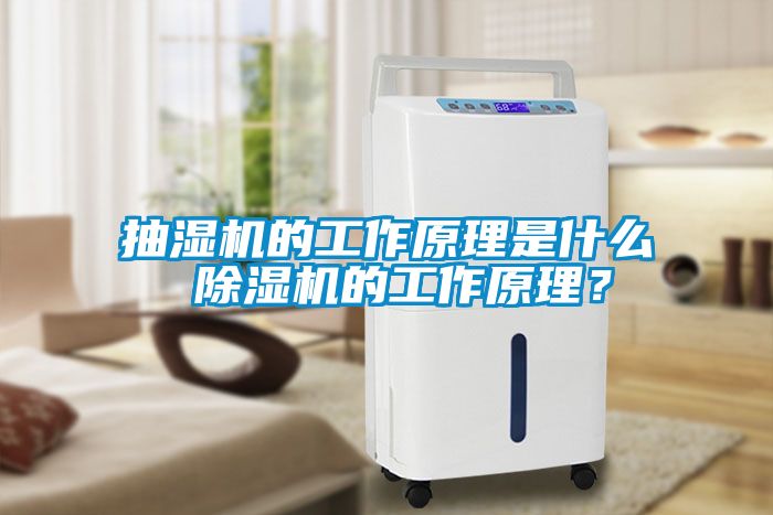 抽濕機的工作原理是什么 除濕機的工作原理？