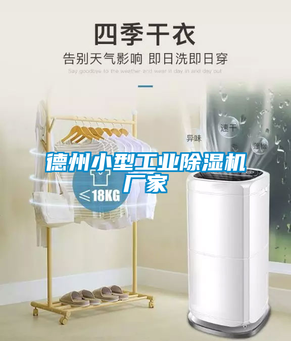 德州小型工業(yè)除濕機廠家