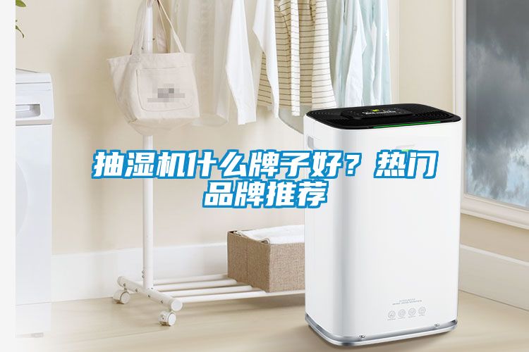 抽濕機(jī)什么牌子好？熱門品牌推薦