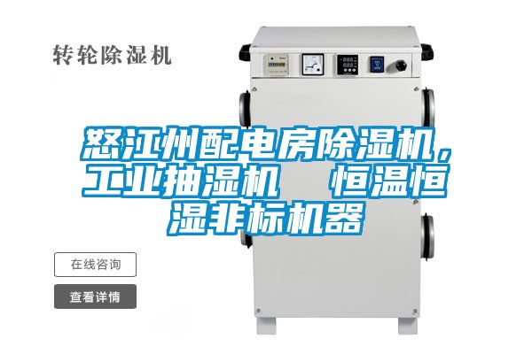 怒江州配電房除濕機，工業(yè)抽濕機  恒溫恒濕非標(biāo)機器