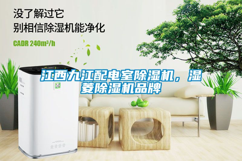 江西九江配電室除濕機(jī)，濕菱除濕機(jī)品牌