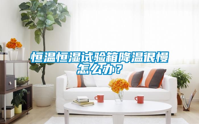 恒溫恒濕試驗(yàn)箱降溫很慢怎么辦？