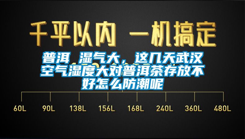 普洱 濕氣大，這幾天武漢空氣濕度大對(duì)普洱茶存放不好怎么防潮呢